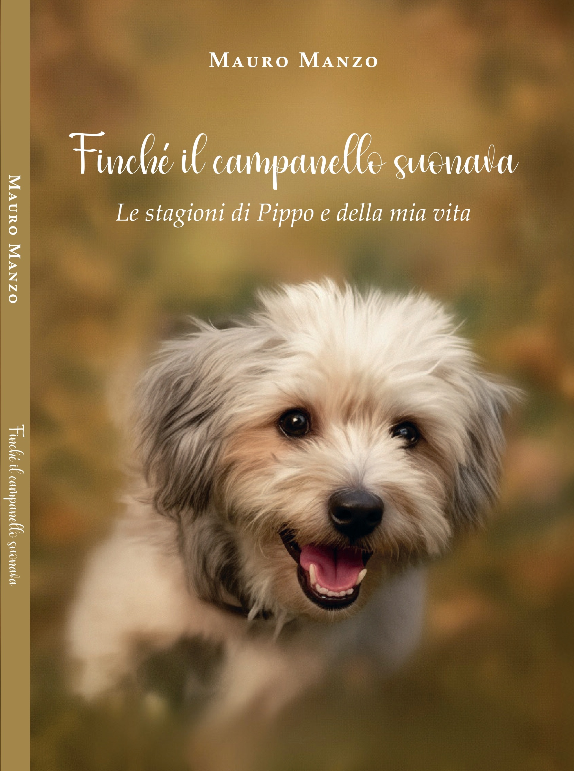 Copertina del libro Finché il campanello suonava